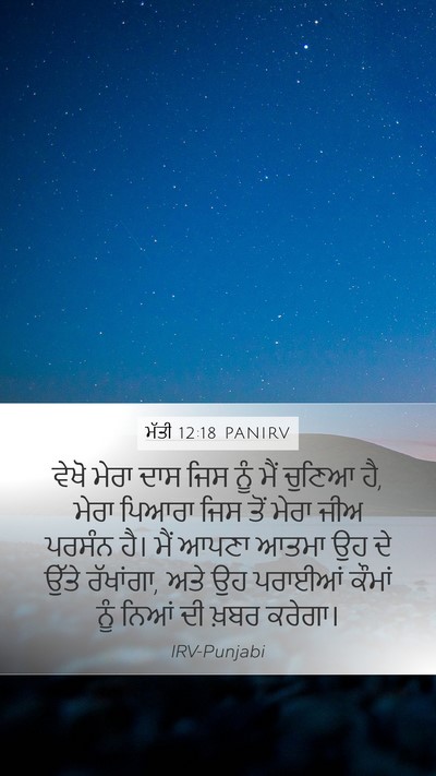 ਮੱਤੀ 12:18 PANIRV Bible Verse Image