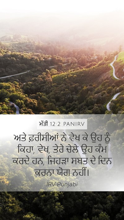 ਮੱਤੀ 12:2 PANIRV Bible Verse Image