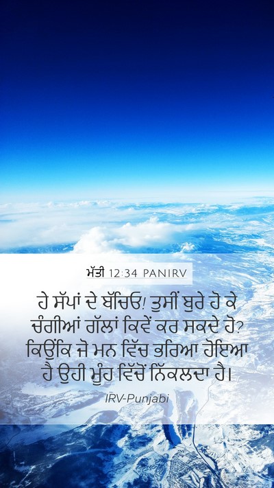 ਮੱਤੀ 12:34 PANIRV Bible Verse Image