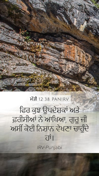 ਮੱਤੀ 12:38 PANIRV Bible Verse Image