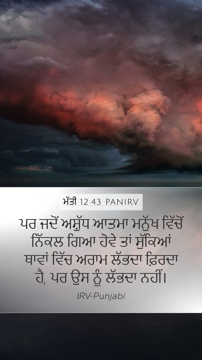 ਮੱਤੀ 12:43 PANIRV Bible Verse Image