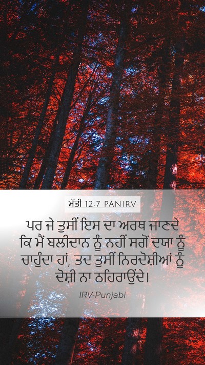 ਮੱਤੀ 12:7 PANIRV Bible Verse Image
