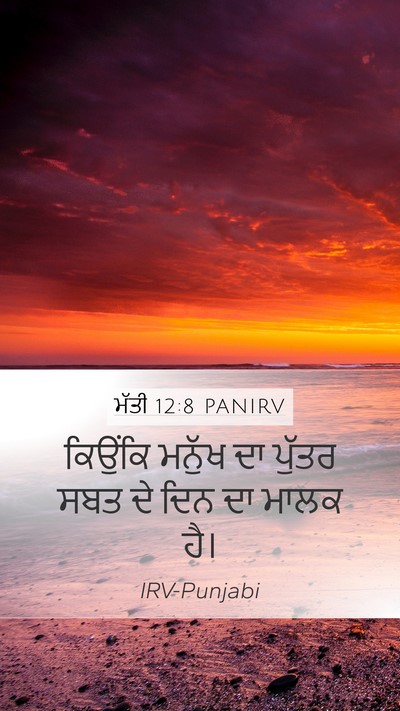 ਮੱਤੀ 12:8 PANIRV Mobile Phone Wallpaper - ਕਿਉਂਕਿ ਮਨੁੱਖ ਦਾ - Mobile Bible Verse Wallpaper