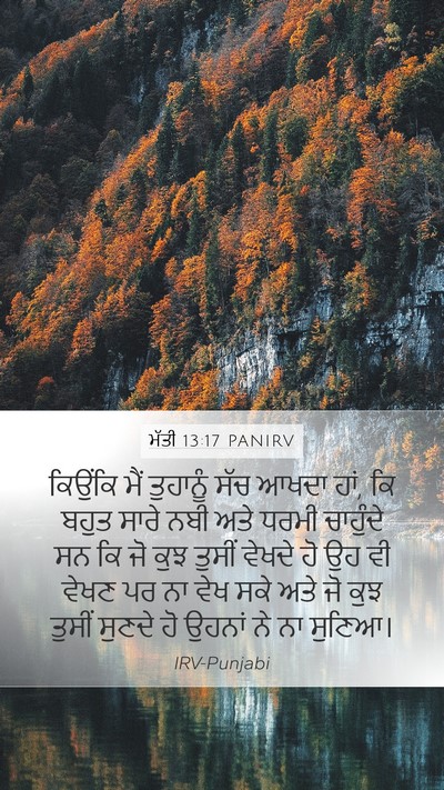 ਮੱਤੀ 13:17 PANIRV Bible Verse Image