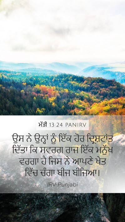 ਮੱਤੀ 13:24 PANIRV Bible Verse Image
