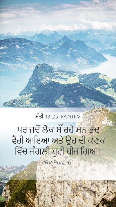 ਮੱਤੀ 13:25 PANIRV Bible Verse Image
