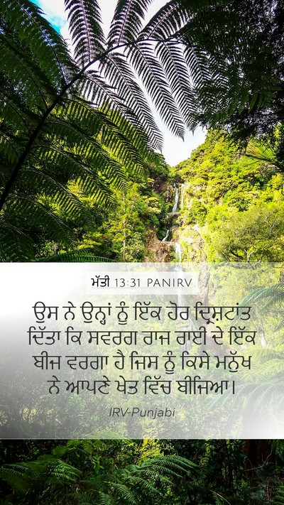 ਮੱਤੀ 13:31 PANIRV Bible Verse Image