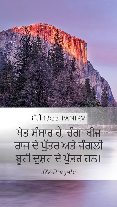 ਮੱਤੀ 13:38 PANIRV Bible Verse Image