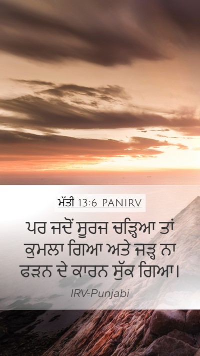 ਮੱਤੀ 13:6 PANIRV Bible Verse Image