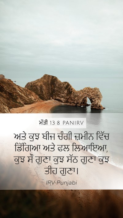 ਮੱਤੀ 13:8 PANIRV Bible Verse Image