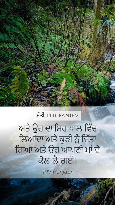 ਮੱਤੀ 14:11 PANIRV Mobile Phone Wallpaper - ਅਤੇ ਉਹ ਦਾ ਸਿਰ ਥਾਲ - Mobile Bible Verse Wallpaper