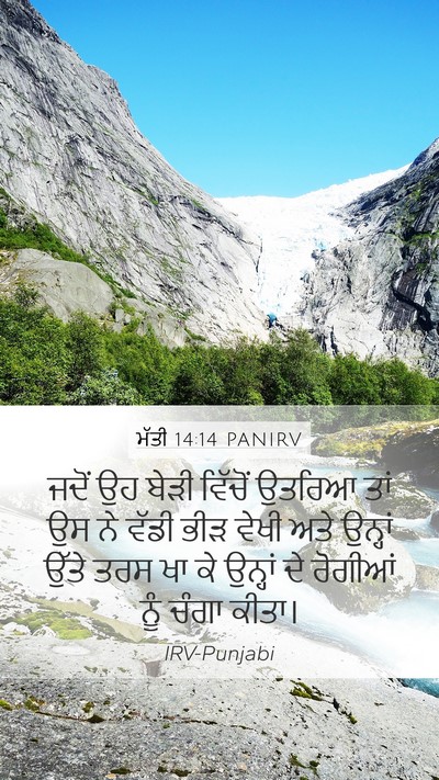 ਮੱਤੀ 14:14 PANIRV Bible Verse Image