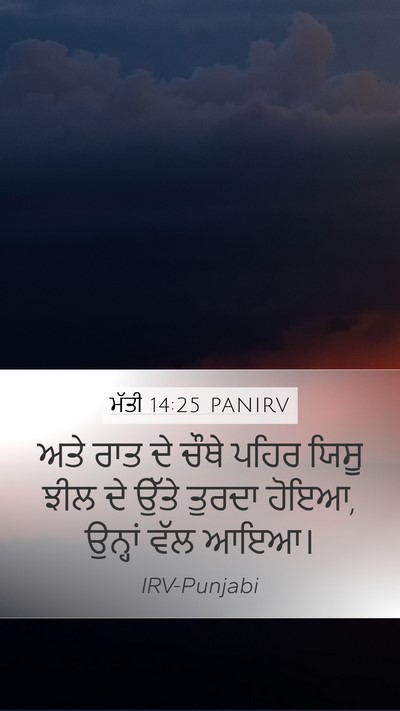ਮੱਤੀ 14:25 PANIRV Bible Verse Image