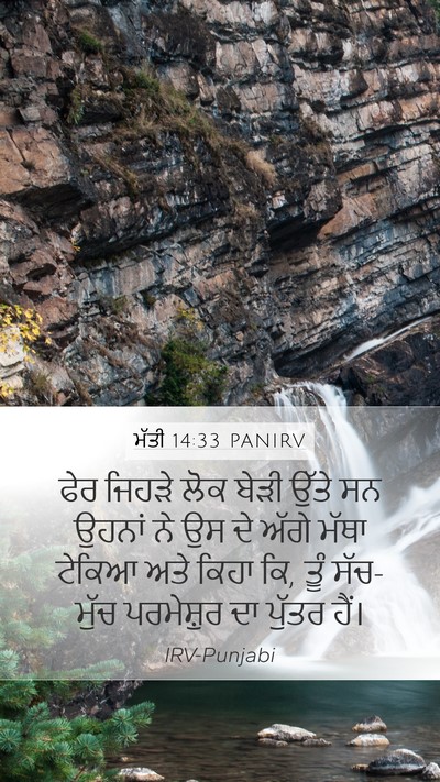 ਮੱਤੀ 14:33 PANIRV Bible Verse Image