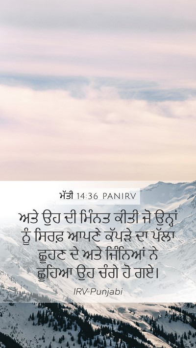 ਮੱਤੀ 14:36 PANIRV Bible Verse Image