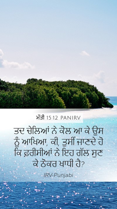 ਮੱਤੀ 15:12 PANIRV Bible Verse Image