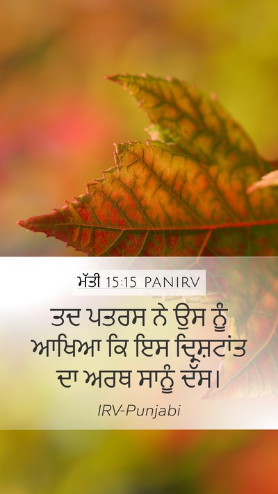 ਮੱਤੀ 15:15 PANIRV Bible Verse Image