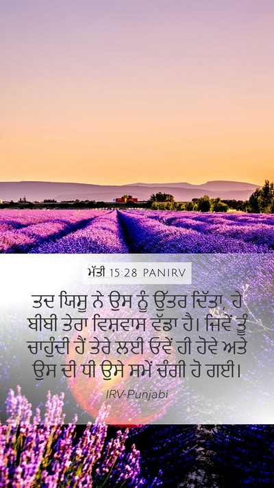 ਮੱਤੀ 15:28 PANIRV Bible Verse Image