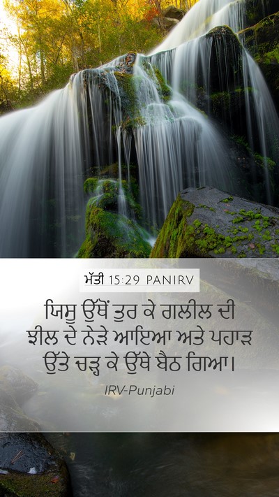 ਮੱਤੀ 15:29 PANIRV Bible Verse Image