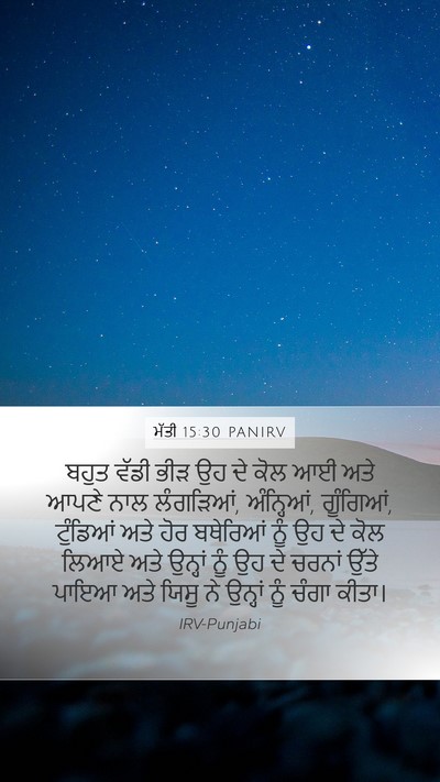 ਮੱਤੀ 15:30 PANIRV Bible Verse Image