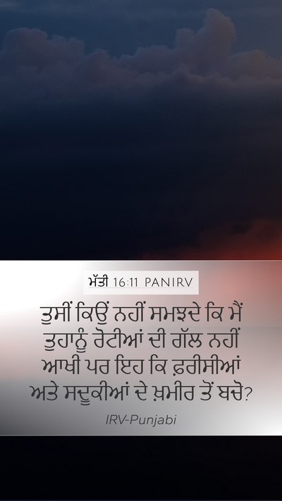 ਮੱਤੀ 16:11 PANIRV Bible Verse Image