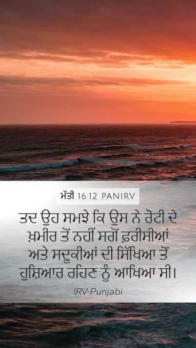 ਮੱਤੀ 16:12 PANIRV Mobile Phone Wallpaper - ਤਦ ਉਹ ਸਮਝੇ ਕਿ ਉਸ ਨੇ - Mobile Bible Verse Wallpaper