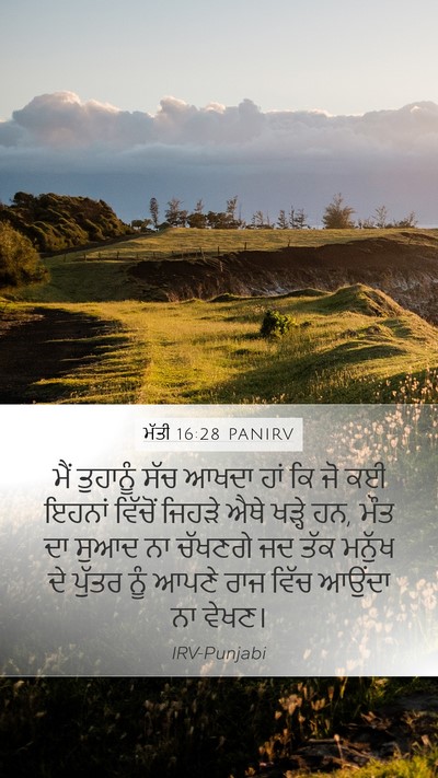 ਮੱਤੀ 16:28 PANIRV Bible Verse Image