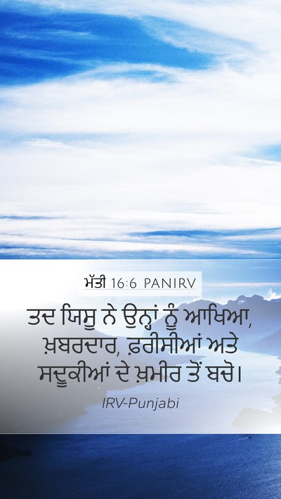 ਮੱਤੀ 16:6 PANIRV Bible Verse Image
