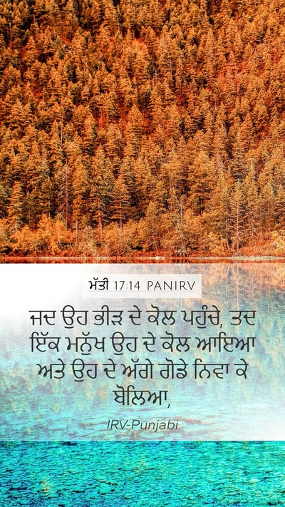 ਮੱਤੀ 17:14 PANIRV Bible Verse Image