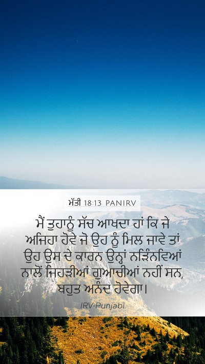 ਮੱਤੀ 18:13 PANIRV Bible Verse Image