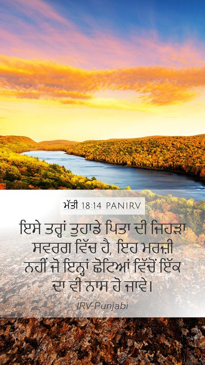 ਮੱਤੀ 18:14 PANIRV Bible Verse Image