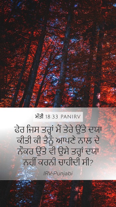 ਮੱਤੀ 18:33 PANIRV Bible Verse Image