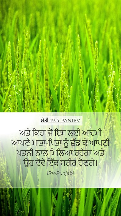 ਮੱਤੀ 19:5 PANIRV Bible Verse Image