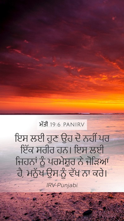 ਮੱਤੀ 19:6 PANIRV Mobile Phone Wallpaper - ਇਸ ਲਈ ਹੁਣ ਉਹ ਦੋ - Mobile Bible Verse Wallpaper