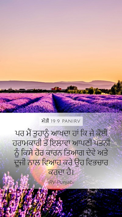 ਮੱਤੀ 19:9 PANIRV Mobile Phone Wallpaper - ਪਰ ਮੈਂ ਤੁਹਾਨੂੰ - Mobile Bible Verse Wallpaper