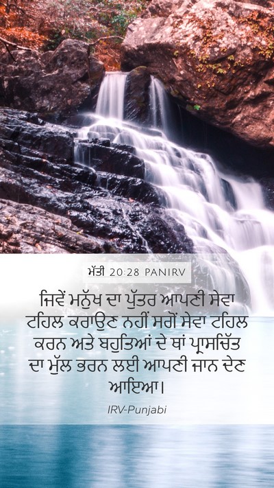 ਮੱਤੀ 20:28 PANIRV Bible Verse Image