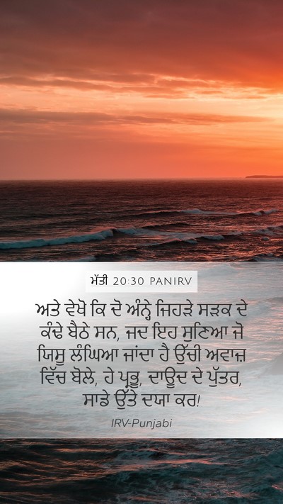 ਮੱਤੀ 20:30 PANIRV Bible Verse Image