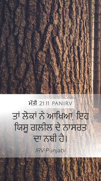 ਮੱਤੀ 21:11 PANIRV Bible Verse Image