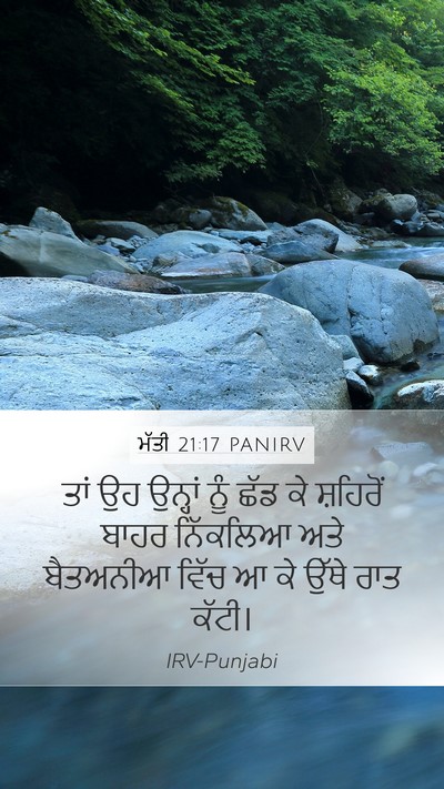 ਮੱਤੀ 21:17 PANIRV Bible Verse Image
