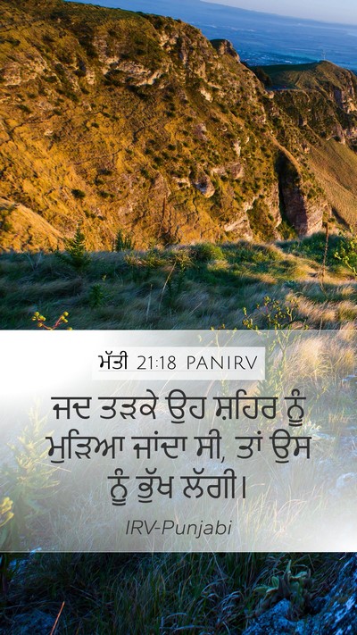 ਮੱਤੀ 21:18 PANIRV Bible Verse Image