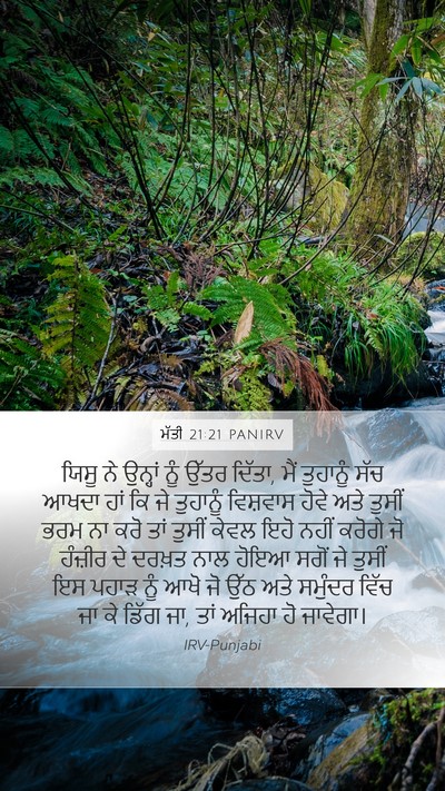 ਮੱਤੀ 21:21 PANIRV Bible Verse Image