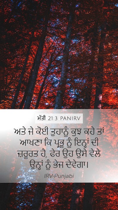 ਮੱਤੀ 21:3 PANIRV Bible Verse Image