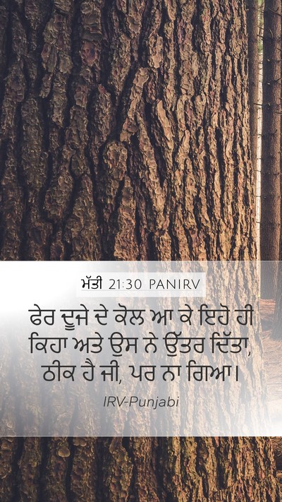 ਮੱਤੀ 21:30 PANIRV Bible Verse Image