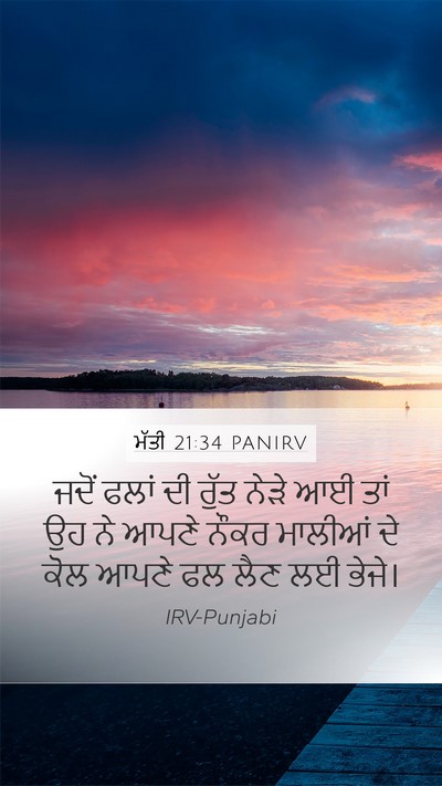 ਮੱਤੀ 21:34 PANIRV Bible Verse Image