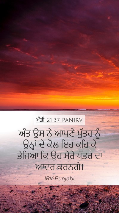 ਮੱਤੀ 21:37 PANIRV Bible Verse Image