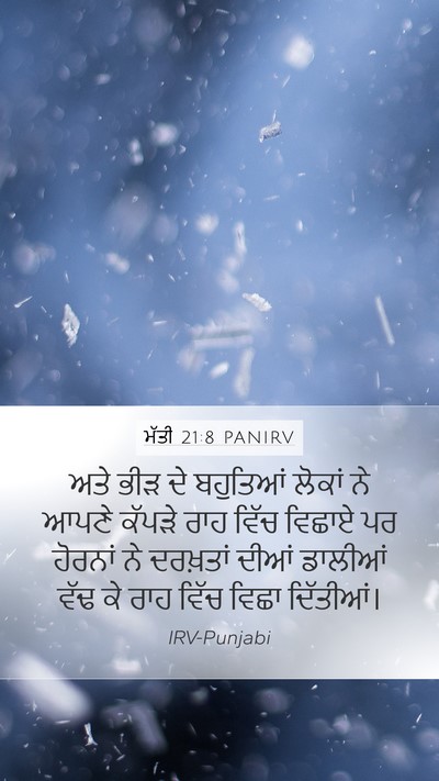 ਮੱਤੀ 21:8 PANIRV Mobile Phone Wallpaper - ਅਤੇ ਭੀੜ ਦੇ ਬਹੁਤਿਆਂ - Mobile Bible Verse Wallpaper
