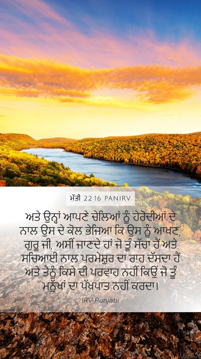 ਮੱਤੀ 22:16 PANIRV Bible Verse Image