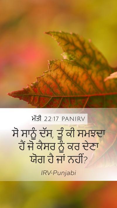 ਮੱਤੀ 22:17 PANIRV Bible Verse Image