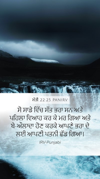 ਮੱਤੀ 22:25 PANIRV Bible Verse Image
