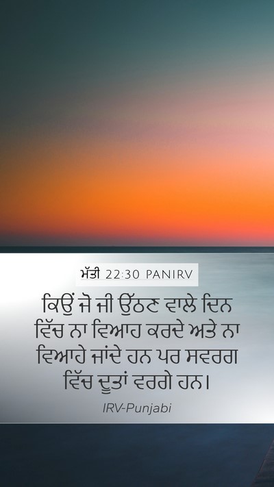 ਮੱਤੀ 22:30 PANIRV Bible Verse Image